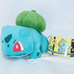 ポケモンベストウイッシュぬいぐるみ フシギダネ 2012 廃盤 希少 タグ