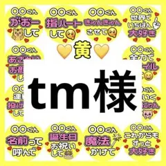 tm様　専用　カンペうちわ