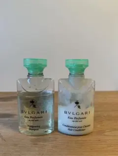 Item thumbnail for item 4e6c5f97-a2f2-4f27-8e1d-18ca605564e8