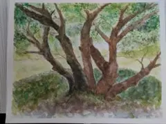 Item thumbnail for item 99143e70-b965-40c3-8fe9-08f490307541