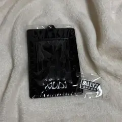 allyz 入会特典