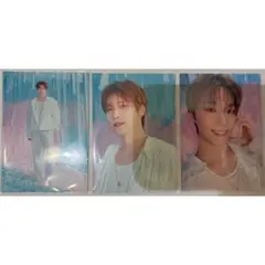 【匿名配送】SEVENTEENYAKUSOKUトレカ　ディノ 3点