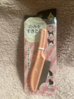 Item thumbnail for item b55f81b6-d9bc-4dbd-954a-ab53b6b615a4