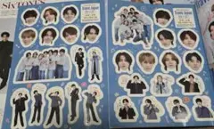 Myojo Travis Japan　トラ・トラ フレークシール　大小2種セット