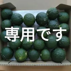 専用です★柚のや★高知県産青ゆず（本ゆず）2㎏