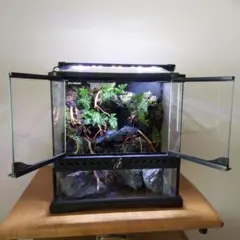 2026年最新】グラステラリウム3030の人気アイテム - メルカリ