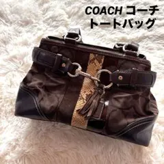 COACH コーチ トートバッグ シグネチャー パイソン柄　10262