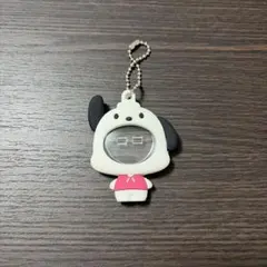 ポチャッコ　サンリオ　フォトキーホルダー