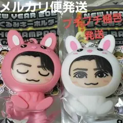 ✨レア✨☺️新品☺RAMPAGE★神谷健太★2023 うさぎ着ぐるみキーホルダー