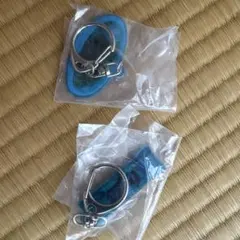 新潟みやげ　アクリルキーホルダー　2種セット