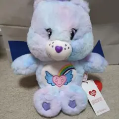 タグ付き　ケアベア　ドリームブライトベア　ぬいぐるみ