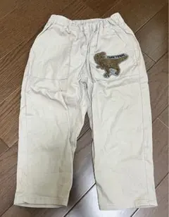 SiMPLE FREE☆ティラノサウルス 長ズボン パンツ☆100size【美品