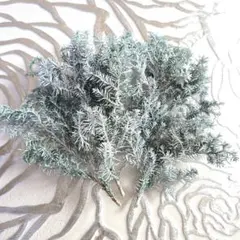 Item thumbnail for item 69f22596-d3d0-4c02-85c2-63f988a3b90b