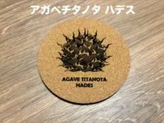 アガベ チタノタ ハデス コルクコースター
