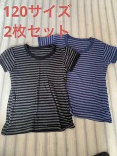 値下げ‼️ ストライプ柄　半袖アンダーシャツ　2枚セット　120 冬用