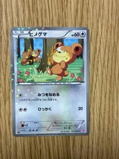 ヒメグマ C BW コンセプトパック「シャイニーコレクション」 キラ 015/…