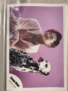 Snow Man 公式写真 岩本照 3枚セット