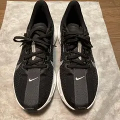 【美品】NIKE ペガサスプラス25cmウィメンズ　ランニングシューズブラック