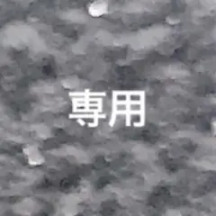 専用ページです(^^)