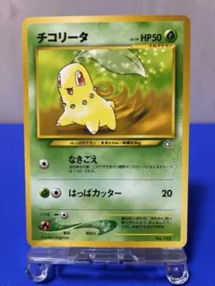 旧裏 極上美品 チコリータ プレミアムファイル ☆neo 金、銀、新世界へ