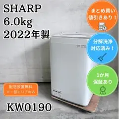 分解洗浄済み 東芝 洗濯機 小型 一人暮らし 6.0kg 2024年製 - メルカリ