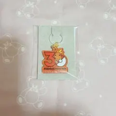 ポケモン ポケチャーム 30周年ロゴマスコット アチャモ