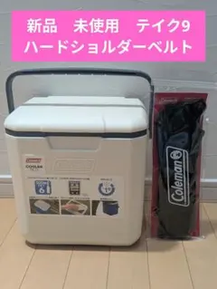 定価3万円弱】Coleman 電動ポンプ付クイーンサイズ エアマットレス
