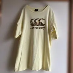 Item thumbnail for item 1c84917a-c785-40b1-8a42-99a38a3fbb22