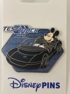 Disney PINTRADING ディズニーワールド 2003年 ミニー - メルカリ