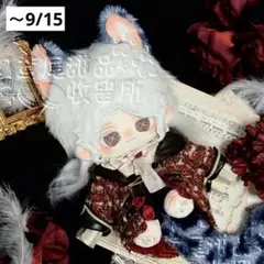 20cm着せ替えぬいぐるみ本体　マスター　期間限定　C20wdz11