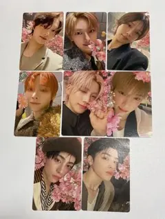 &TEAM 雪明かり　通常盤　セミコンプ