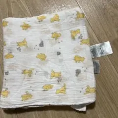 aden + anais ディズニーブランケット