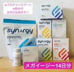 2026年最新】シナジーワールドワイド メガの人気アイテム - メルカリ