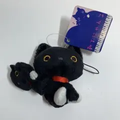 2007年発売　サンエックス　にんきものぬいぐるみ　 靴下にゃんこ　限定　希少