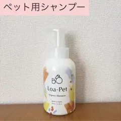 Item thumbnail for item 8abacf4d-e18b-42ec-9de2-cc5e98b411cc