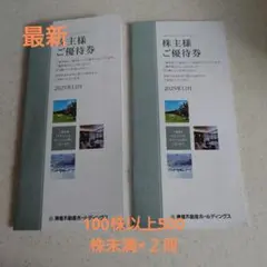 東急不動産ホールディングス　株主優待券 2冊　ホテル　ゴルフ場スキー場　割引券