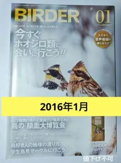 Item thumbnail for item da79b75d-608d-4924-9714-bd0589e7cb2f