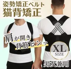 Item thumbnail for item 21d74f7d-8b8f-4828-97ef-d9f03adadfdf