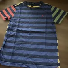 Polo Ralph Lauren ストライプ Tシャツ サイズ7