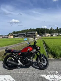 xsr125 ローダウン50mmのサムネイル