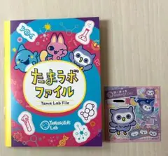 たまごっちパラダイス たまラボファイル たまラボステッカー　ほーほっち②