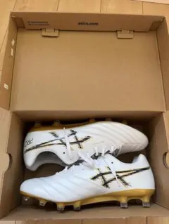 asics DS LIGHT X-FLY PRO 3 27.5cm