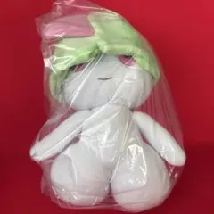 もっちりっち ぬいぐるみ パピモッチ ラルトス コイキング箱付き