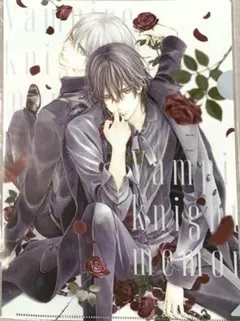 ヴァンパイア騎士　クリアファイル ヴァンパイア騎士 クリアファイル 原画展 限定品 原作イラスト - メルカリ