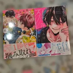 初版 新品未開封品 ささやくように恋を唄う 竹嶋えく 11巻 12巻 セット