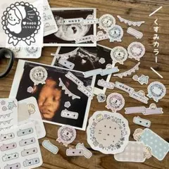 【シール】マタニティ·エコーアルバムフレーク(くすみカラー) ＊ 母子手帳シール