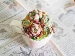 そのまま飾れる多肉植物寄せ植え3