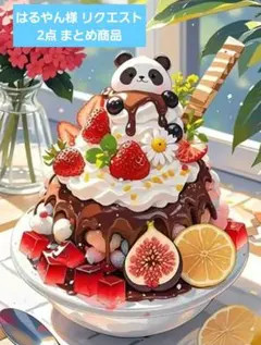 はるやん様 リクエスト 2点 まとめ商品