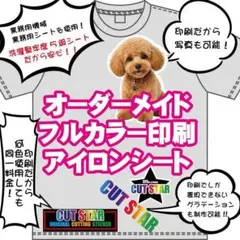 フルカラー印刷　アイロンプリントシート　オーダーメイド　制作　Tシャツスウェット