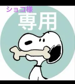 専用シップスshipsバイカラーメッシュコンビ　トートバッグかごバッグ籠トートのサムネイル